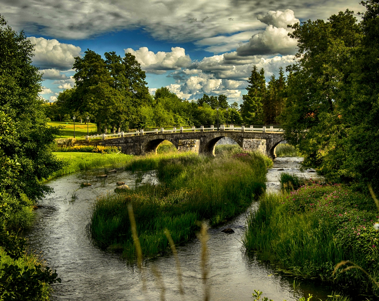 Bridge